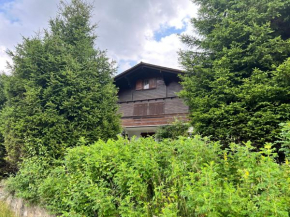 Chalet Hildegard